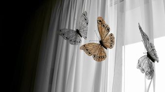 butterfly decorations on the curtains