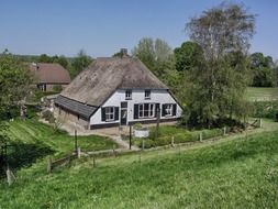 green trees near a house in the netherlands