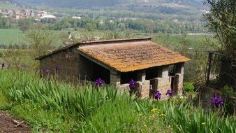 old house in countryside