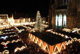 christmas market christmas tree people night light