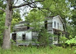 old house in the forest