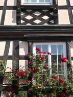 facade of an old house in gengenbach