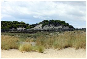 Landscape of Bridge over the sand dunes