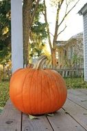 Orange pumpkin on Halloween