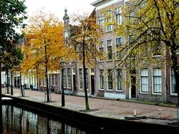 Canal and houses in Amsterdam