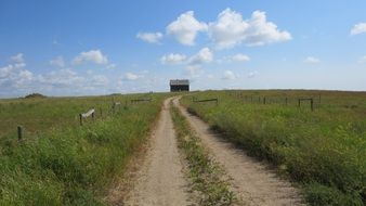 soil road through green meadow, Landscape