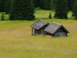 forest house on the meadow