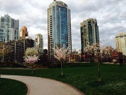 skyscrapers on the waterfront in vancouver