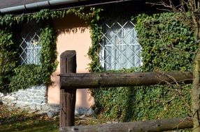 Wooden fence in front of country house