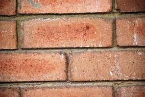 red bricks wall