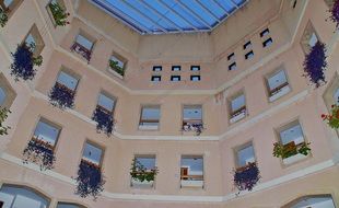 residential building windows with flowers