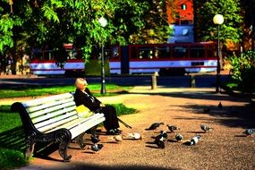 an elderly woman feeds pigeons