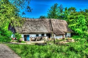 Old farm summer village Green Nature around