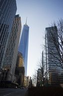 World trade center among the urban landscape of new york