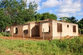 ruins between trees in paraguay