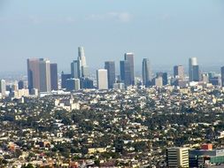 Aerial view of city, usa, california, los angeles