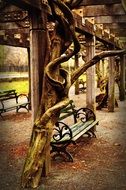 bench in Central park, United States