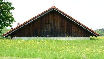 wooden house on a meadow