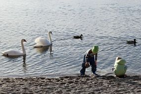 Picture of the swans and children