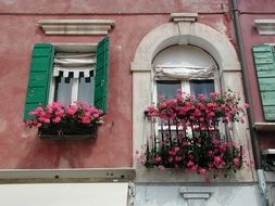 Flower boxes on a building