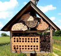 Wooden wild bee house