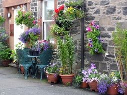 bright colorful flowers in pots near the stone wall