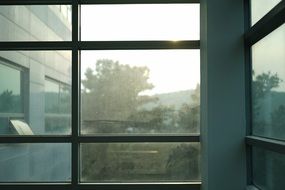Dust on a window