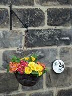 basket with flowers near the wall