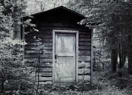 log hut at forest, black and white