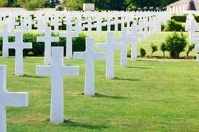 american army cemetery cross