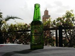 heineken beer