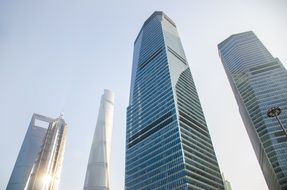 the building of the Lujiazui Shanghai