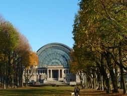 brussels belgium sky trees