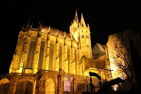 yellow backlit church, erfurt