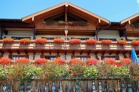 colorful flowering balcony plants on the facade of the building