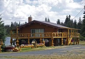 stylish log home in the forest