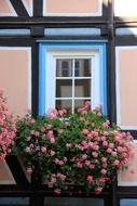 pink facade of the building