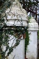 gate decorated with plants