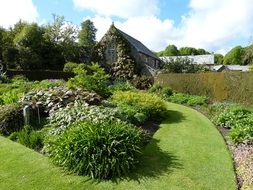 Green garden in the Cornwall