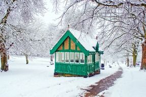 snowy green house