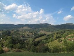 panorama of green fields in rural Slovenia