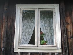 white curtains on a wooden window