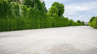 garden path in schonbrunn palace