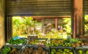 fruit stand farmers tropical market