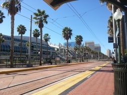 palm trees on the platform at the station