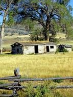 grassland meadow