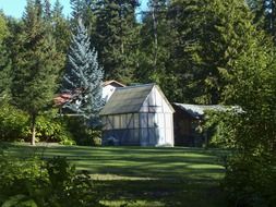 green house garden