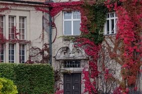 Burgher's House In Autumn