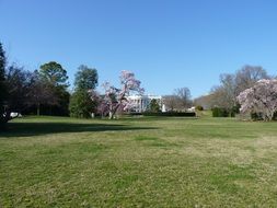 green lawn in front of the White House