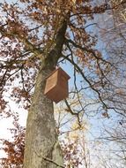 birdhouse bird s house wood